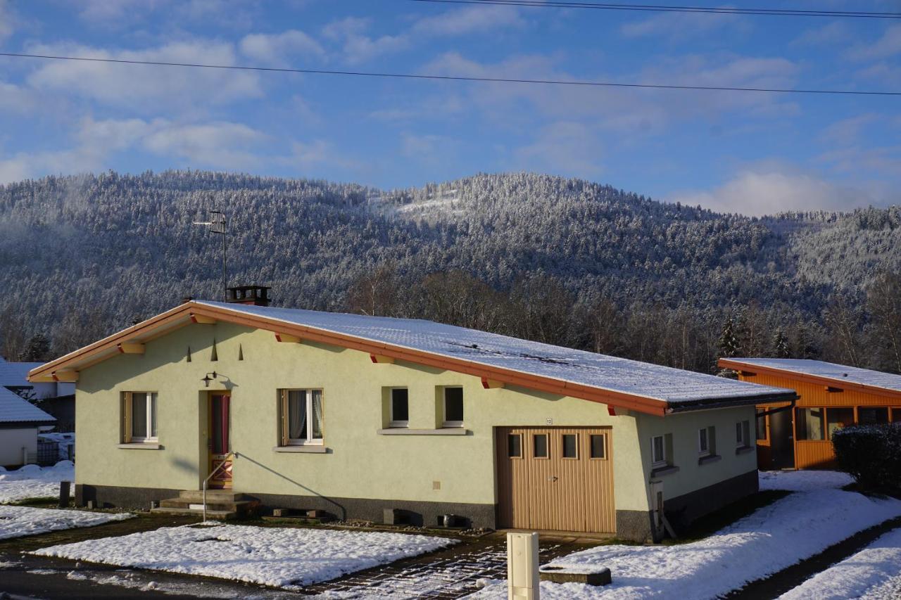 La maison et l'étang - grand terrain privé Vagney Exterior foto
